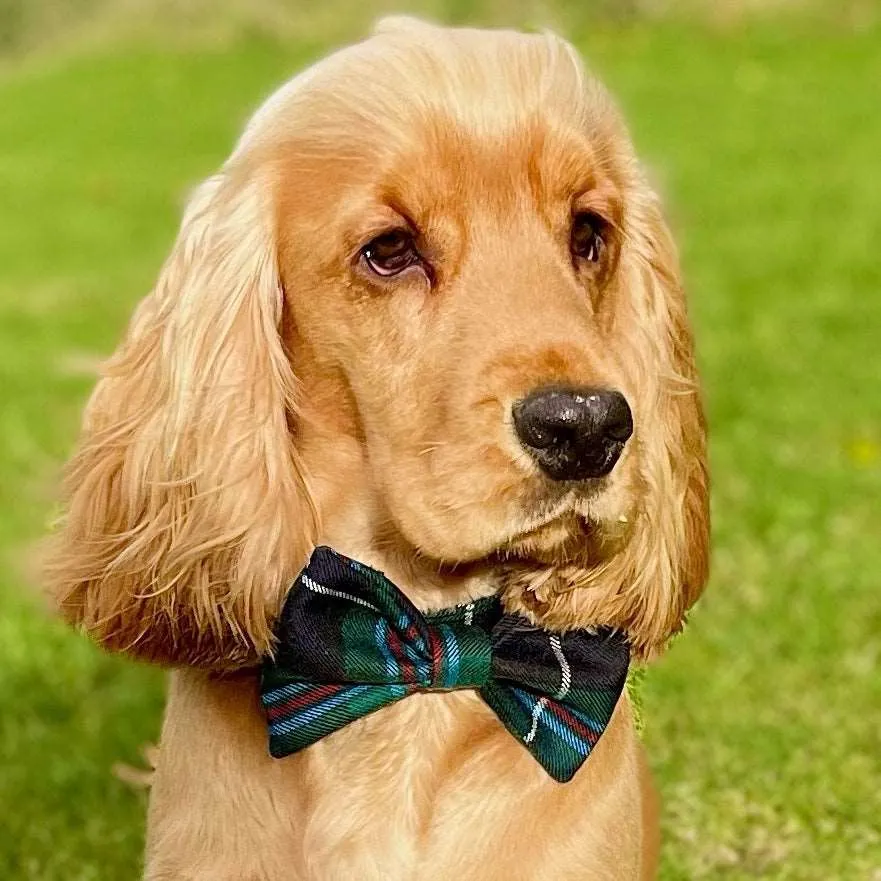 Peebles Tartan Dog Bow Tie